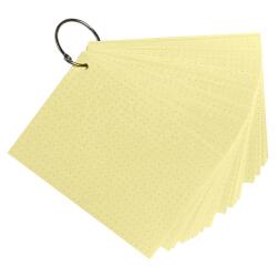 Paquet de 50 Flashcards sous film + anneau - bristol dots perforé - Format A6