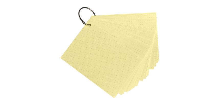 Paquet de 50 Flashcards sous film + anneau - bristol dots perforé - Format A6
