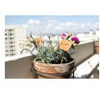 DARWI Pain de 250g de pâte à modeler auto-durcissante - Terracotta