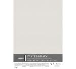 PastelGrain paquet 5F 50x70cm 360g - Gris clair