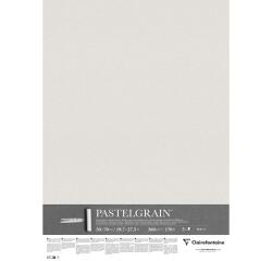 PastelGrain paquet 5F 50x70cm 360g - Gris clair