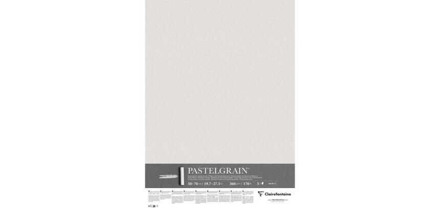 PastelGrain paquet 5F 50x70cm 360g - Gris clair