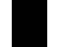 PAPIER AFFICHE PEINTE, Paquet de 25 feuilles 90g/m2 au format 60x80cm - Noir