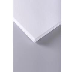 Dessin Croquis rame 250F A3 160g