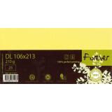 Carte 106x213 FOREVER 210g pqt 25