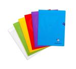 Cahier piqué Mimesys 24x32cm 96 pages grands carreaux couverture polypropylène Couleur aléatoire - Assortis