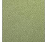 Etival Color paquet 25F A3 160g - Vert amande