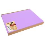 Barquette de 100 sets de table spundbond, unis - Format 30x40cm