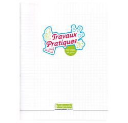 Cahier Travaux Pratiques piqué 8000 POLYPRO 24x32 cm 192 pages grands carreaux + uni 90 g - Incolore