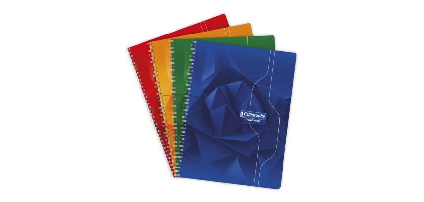 Cahier reliure intégrale 7000 24x32 cm 180 pages grands carreaux 70 g - Assortis
