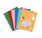 Cahier de poésie piqué Clairenfantine 17x22cm 48p grands carreaux + uni Couleur aléatoire - Assortis