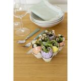 Pack de 6 oeufs cassés waterproof - Kraft