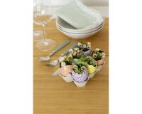 Pack de 6 oeufs cassés waterproof - Kraft