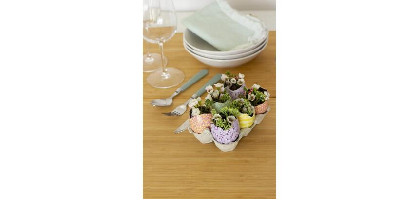 Pack de 6 oeufs cassés waterproof - Kraft