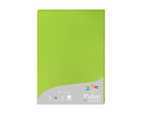 Clairefontaine Pollen Sheet - 210 x 297mm - Pack of 25 - Mint