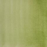 Aquarelle extra-fine godet géant - Vert de Hooker