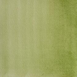 Aquarelle extra-fine godet géant - Vert de Hooker
