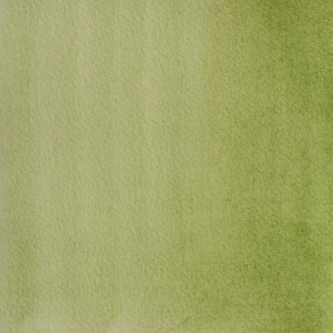 Aquarelle extra-fine godet géant - Vert de Hooker
