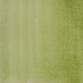 Aquarelle extra-fine godet géant - Vert de Hooker