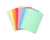 Paquete de 10 Subcarpetas Super 210 g/m2 - Colores surtidos