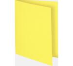 FLASH 220 Pak van 100 mappen -100%gerecycleerd - 24x32cm