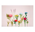 CRÉPON FLEURISTE, Pack de 10 rouleaux au format 25x100cm - Assortiment pastel