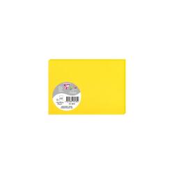 Paquet de 25 cartes simples Pollen 110x155mm 210g/m2 - Soleil