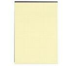 Bloc Black block 29,7x21cm - Papier jaune quadrillé 5x5 - 70 feuillets - Noir