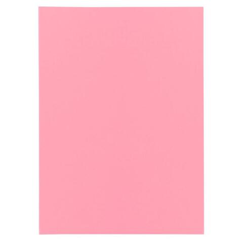 Paquete de 100 Subcarpetas de papel Super 60 g/m2 - Rosa