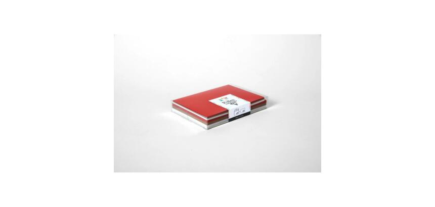 Coffret Pollen uni de 20 enveloppes 114x162mm + 20 cartes 110x155mm - Assortiment Noël scandinave - Assortiment