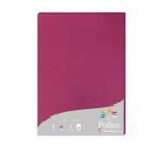 Feuille Pollen 210 x 297 mm 160 g/m2 - Etui de 50