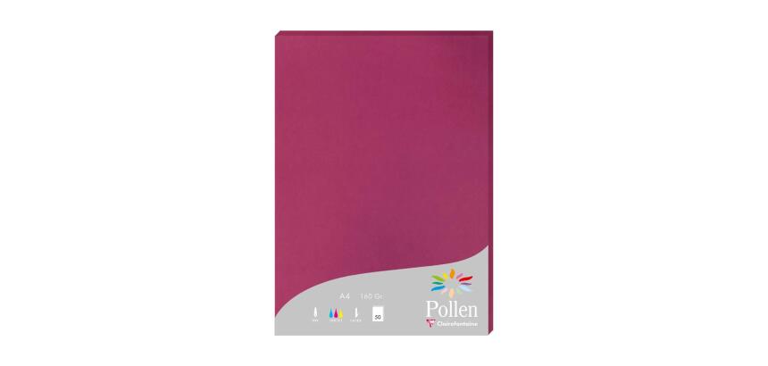 Feuille Pollen 210 x 297 mm 160 g/m2 - Etui de 50