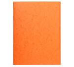 Carpeta Exacompta sin gomas con 3 solapas cartulina lustrada 400grs Nature Future - A4 - Colores surtidos