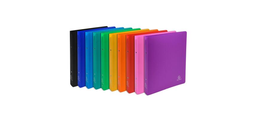 Ringbuch aus PP 700µ mit 2 Ringen 30mm, Rücken 40mm, blickdicht, DIN A4 Überbreite