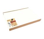 Schachtel mit 100 Tischsets, Spunbound, einfarbig - Format 30x40cm