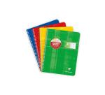 Cahier reliure intégrale déficients visuels 17x22cm 100 pages grands carreaux noirs 2,5mm agrandis 10x10 Couleur aléatoire - Assortis