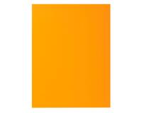 Paquet de 30 sous-chemises ROCK''S 80 - 22x31cm - Ocre