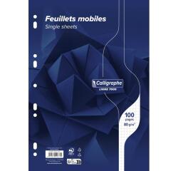 Feuillets mobiles sous film 7000 A4 100 pages perforées petits carreaux 80 g