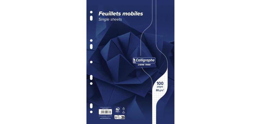 Feuillets mobiles sous film 7000 A4 100 pages perforées petits carreaux 80 g