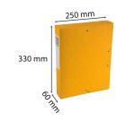 Boite de classement Exabox Dos 60mm Carte lustrée Scotten - A4
