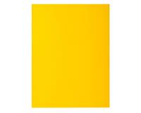 ROCK''S 210 pak van 50 dossiermappen met 2 kleppen - 24x32cm -