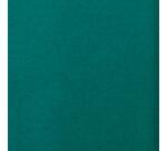 PAPIER DE SOIE, Rouleau de 24 feuilles 18g/m2 au format 50x75cm - Vert Empire