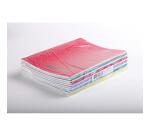 Cahier piqué 8000 POLYPRO 24x32 cm 96 pages grands carreaux 90 g - Assortis