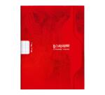 Cahier piqué 7000 17x22 cm 48 pages grands carreaux 70 g - Assortis