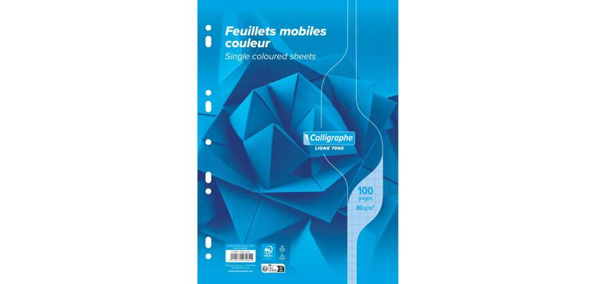Feuillets mobiles sous film 7000 A4 100 pages perforées grands carreaux 80 g