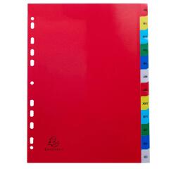 Intercalaires imprimés mensuels PP couleurs Janv-Décembre - A4 - Couleurs assorties