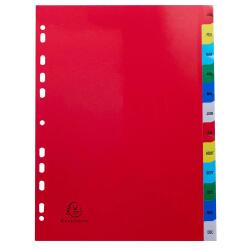 Intercalaires imprimés mensuels PP couleurs Janv-Décembre - A4 - Couleurs assorties