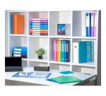 Exacompta PP Display Book A4 100 Pockets