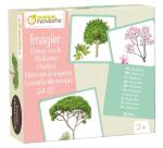 Imagier, Arbres - Multicolore