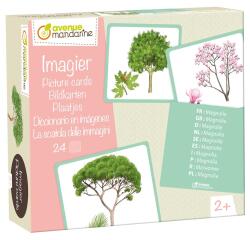 Imagier, Arbres - Multicolore